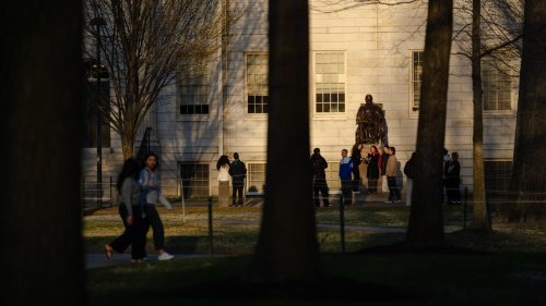 US-Regierung: US-Bildungseinrichtungen verurteilen Trumps Vorgehen gegen Hochschulen