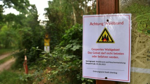 Jüterbog: Schwierige Ursachensuche bei Waldbränden