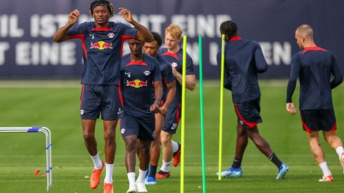 Champions League: Nur ein Tor in 30 Spielen: Poulsen setzt auf Ronaldo-Effekt