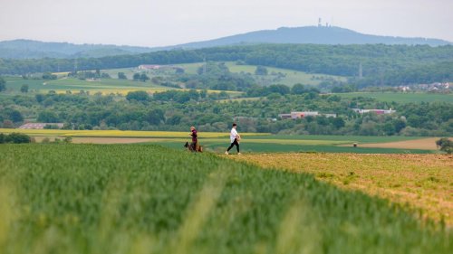 Wetter: Wärmer und sonniger zum Wochenbeginn in Hessen