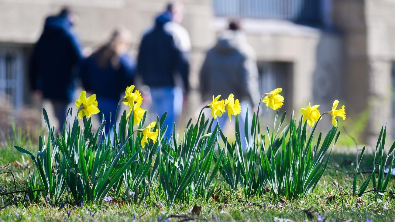 Vorhersage: Frühlingshaftes Wetter in Niedersachsen und Bremen