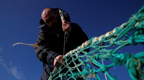 Fischfang nach Brexit: Frankreich setzt britisches Fischerboot fest