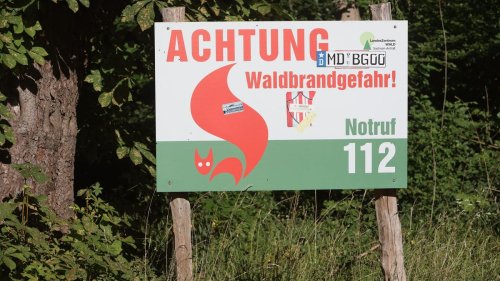 Sonne und kein Regen: Waldbrandgefahr früh im Jahr schon hoch