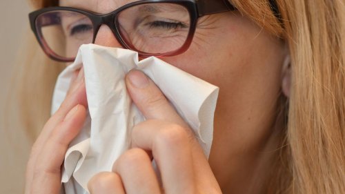 Krankheiten: Grippefälle steigen in Brandenburg fast um das 20-fache