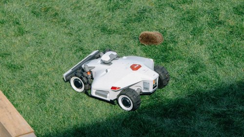 Mähroboter im Test: Sicher, dass Ihr Rasenmäher keine Igel zerhäckselt?