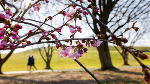 Wetter-Mix: Erst Sonne und 23 Grad - dann Regen am Wochenende