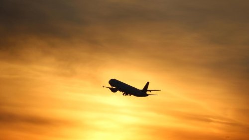 Flugreisen und Klimaschutz: Wer geizig ist, fliegt grüner