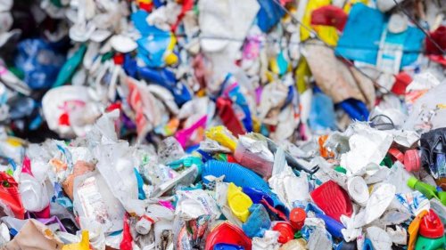 Abfall: Waste-Watcher bitten immer mehr Müllsünder zur Kasse