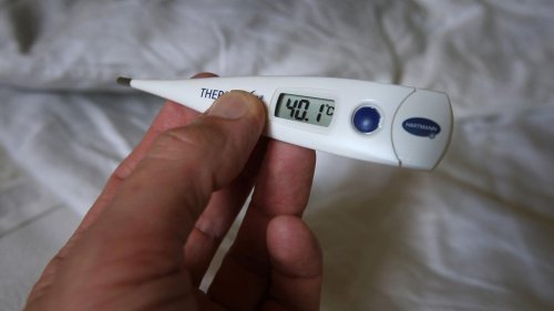 Infektionen: Wenn´s mehr ist als nur Schnupfen - Grippewelle flacht ab