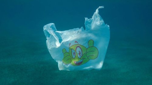 Umwelt: Lemke dringt auf starkes Abkommen gegen Plastikmüll im Meer
