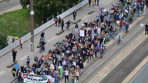 Demonstrationen: Tausende Teilnehmer bei Fridays for Future-Demos