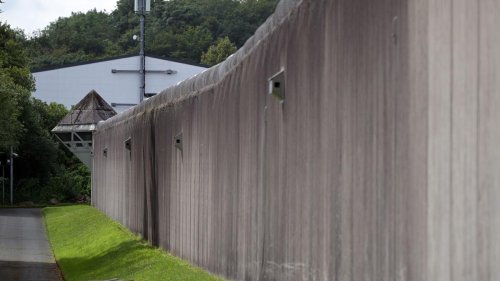 Familienrecht: Mutter ermordet - Vater verlangt Haftbesuch von Kindern