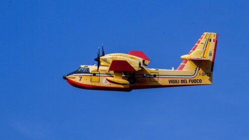 Waldbrand: Löschflugzeug aus dem Harz in Brandenburg im Einsatz