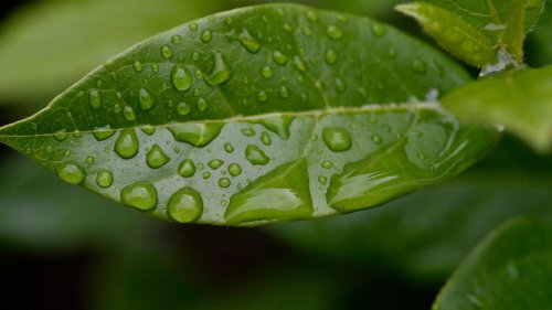 Wetter: Trotz Dauersonne bundesweiter Niederschlagsrekord in Bayern