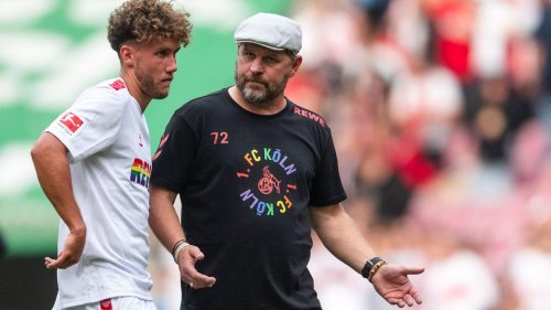 Bundesliga: Kölner Fehlstart: Baumgart will "den Arsch hochnehmen"