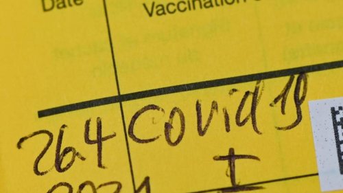 Corona-Pandemie: Über 12.000 Verfahren: Falsche Impfpässe boomen