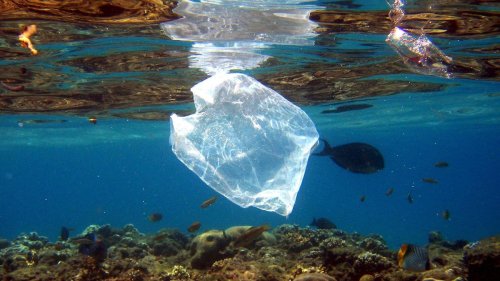 Umwelt: Studie: Bis zu elf Millionen Tonnen Müll auf dem Meeresgrund