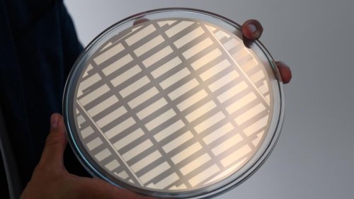 Mikroelektronik: EU-Parlamentarier für Stärkung der Halbleiter-Industrie