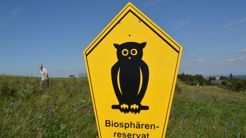Umweltschutz: BUND: Umweltbelange spielen bei Regierung kaum eine Rolle