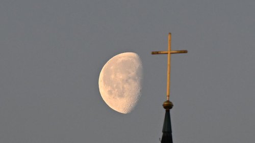 Kirche: Brief an Rom: Vier Bischöfe provozieren Intervention