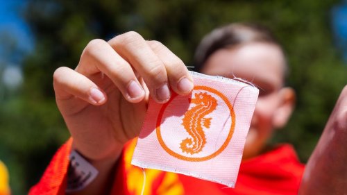 Schwimmen: Weniger Seepferdchen-Prüfungen absolviert