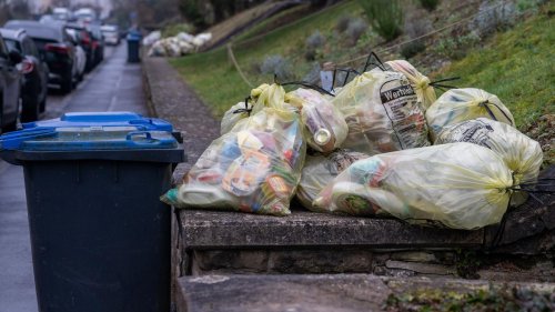Abfallwirtschaft: Wertstoffhof oder Gelbe Tonne - was ist umweltfreundlicher?