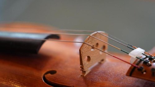 Musik: Orchester sehen sich trotz Pandemie in stabiler Lage