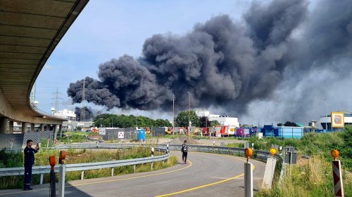 Leverkusen: Rauchwolke trug Dioxin-, PCB- und Furanverbindungen in Wohngebiete