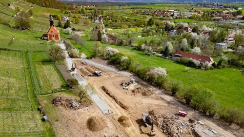 Wiese statt Schweinemastanlage: Agentur renaturiert Flächen und verkauft Ökopunkte