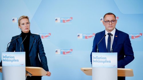 Alternative für Deutschland: AfD-Parteispitze mahnt Landtagsabgeordnete für Reise nach Russland ab