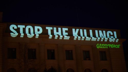 Greenpeace: Aktivisten projizieren Forderung an russische Botschaft