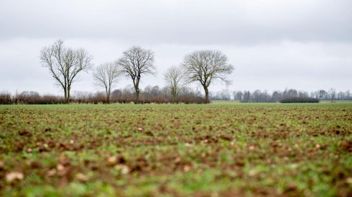 Wetter: Regen in Teilen Niedersachsens erwartet