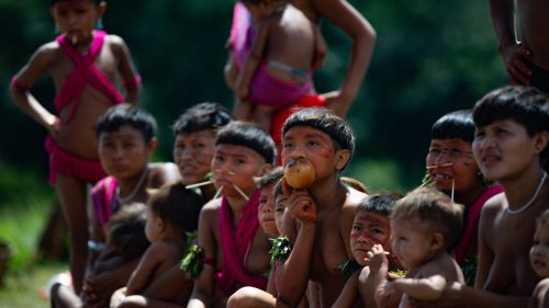 Indigene in Brasilien: "Genozid"-Ermittlungen nach Tod von hundert Kindern der Yanomami