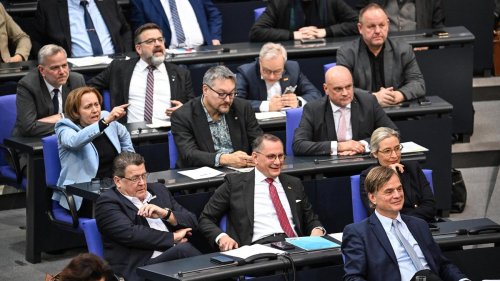 AfD im Bundestag: Parlamentsfraktionen uneinig über Umgang mit der AfD