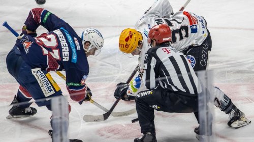 Eishockey: Vor Finale: Eisbären Berlin lehnen Favoritenrolle ab