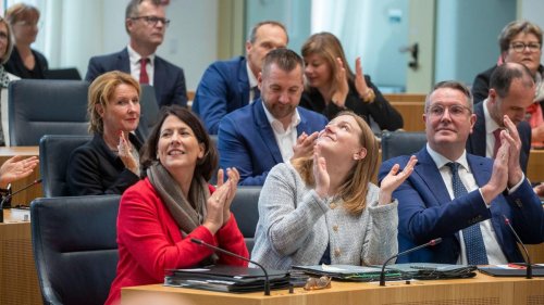 Rechtsextreme Parteien: Ampel-Regierung schließt AfD-Verbotsverfahren nicht aus