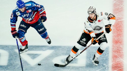 Eishockey: Bokk verlässt die Löwen Frankfurt - Keeper Brenner bleibt