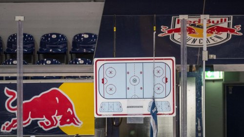 Eishockey: Neuer Coach: Oliver David übernimmt Red Bull München