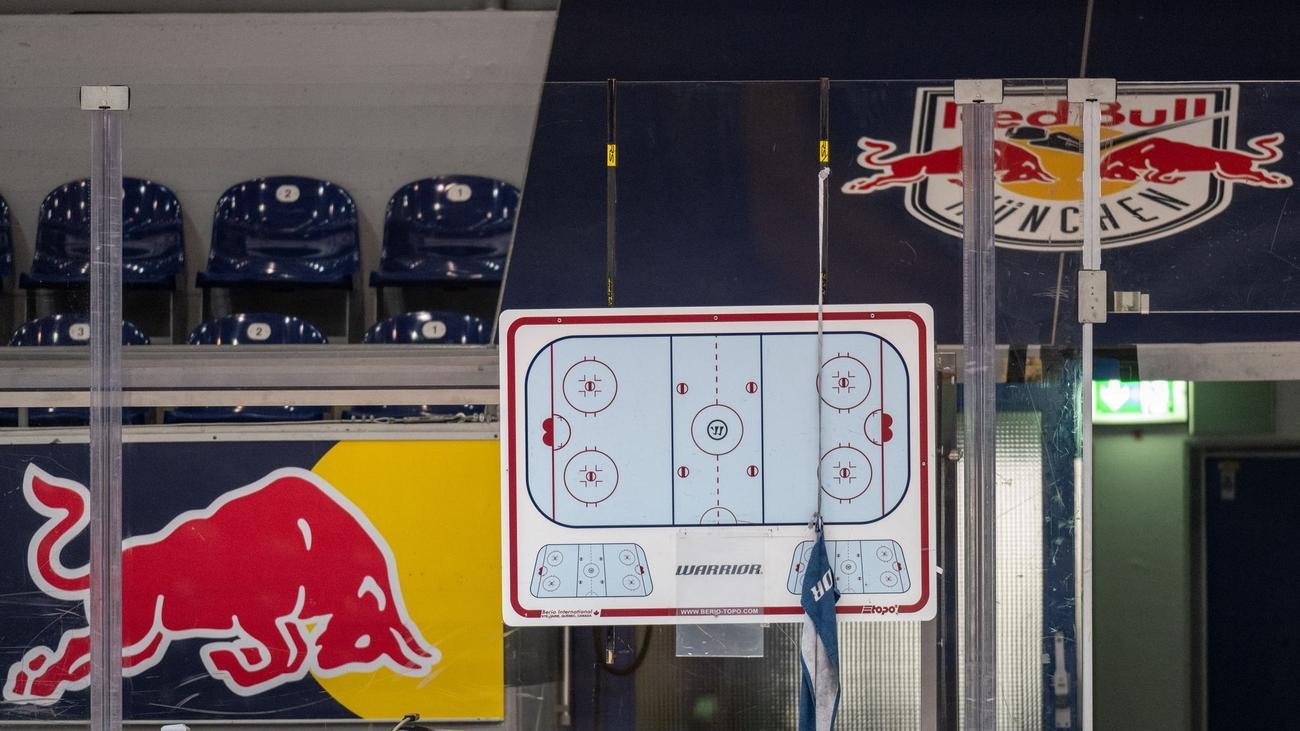 Eishockey: Neuer Coach: Oliver David übernimmt Red Bull München
