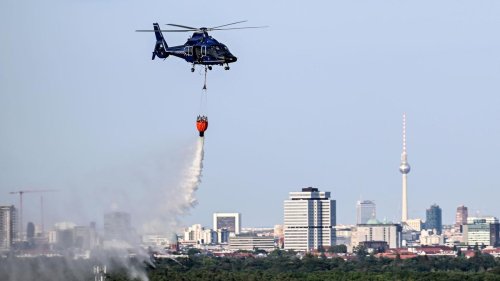 Feuerwehreinsatz: Hubschrauber für Löscharbeiten im Grunewald: Lage dynamisch