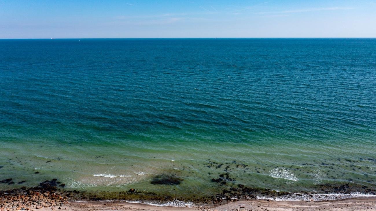Meeresschutz: Land stellt Pläne für mehr Ostseeschutz vor