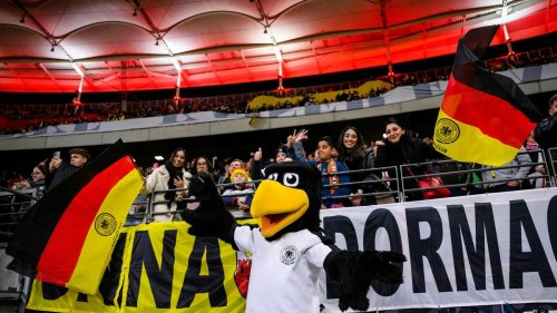 Nationalmannschaft: Länderspiel-Rasen in Frankfurt: DFB bat um Platzbewässerung