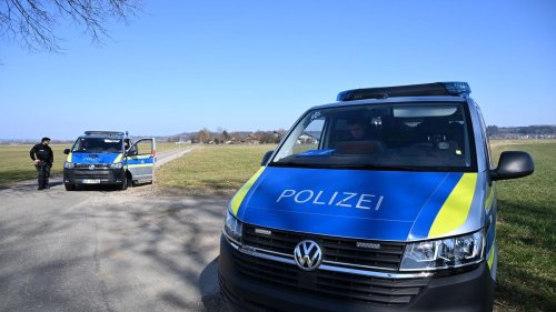 Tierquälerei-Verdacht: Behörde will Rinderhalteverbot für vier Beschäftigte