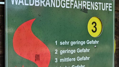 Umwelt: Waldbrände: Bisher weniger Feuer als im Vorjahr