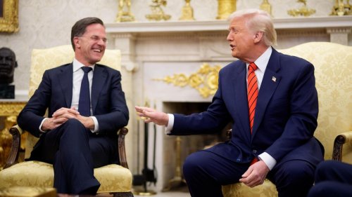 Nato und USA: Der US-Präsident fordert Grönland, der Nato-Chef lacht