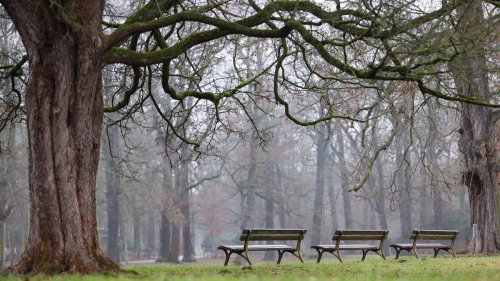 Wetter: Zum Wochenstart viele Wolken