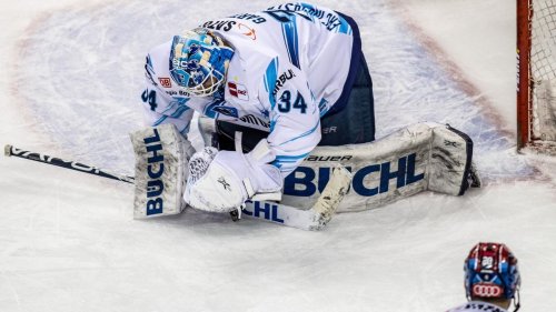 Deutsche Eishockey Liga: Augsburg lockt Torwart Garteig aus Ingolstadt weg