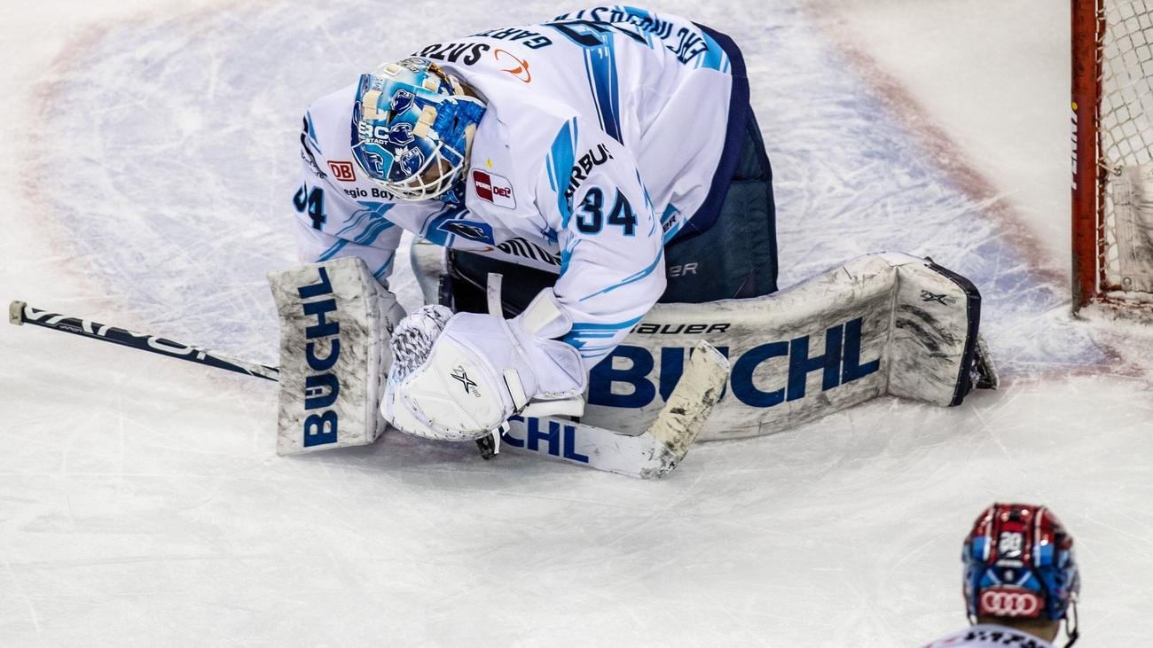 Deutsche Eishockey Liga: Augsburg lockt Torwart Garteig aus Ingolstadt weg