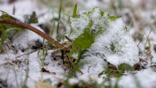 Wetter: Leichter Schnee und glatte Straßen in Thüringen