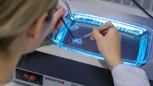Kontrolle: Schreien und drohen: Attacken auf Lebensmittelkontrolleure